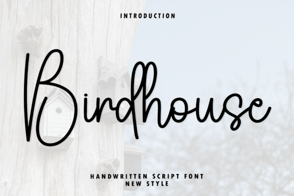 Birdhouse: A Handwritten Script Font for Sophisticated Visual Communication