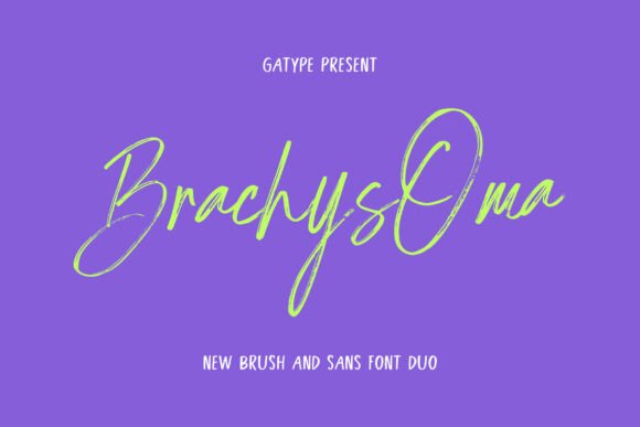 Brachys Oma: Organic Handwritten Font with Modern Charm