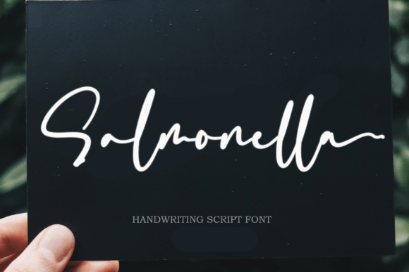 Salmonella: A Handwritten Font That Elevates Design With Rhythm and Refinement